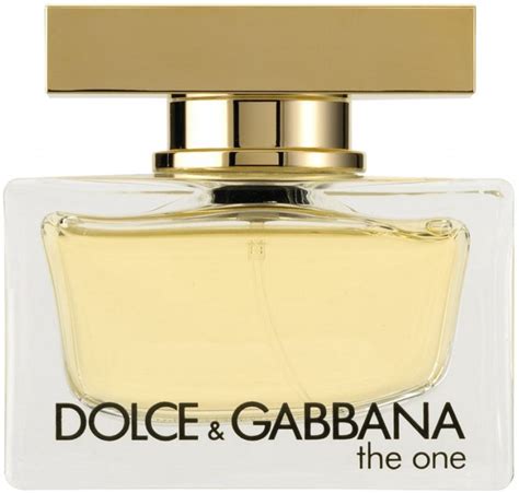 dolce gabbana the one feminino 100ml edt|the one dolce gabbana d&g.